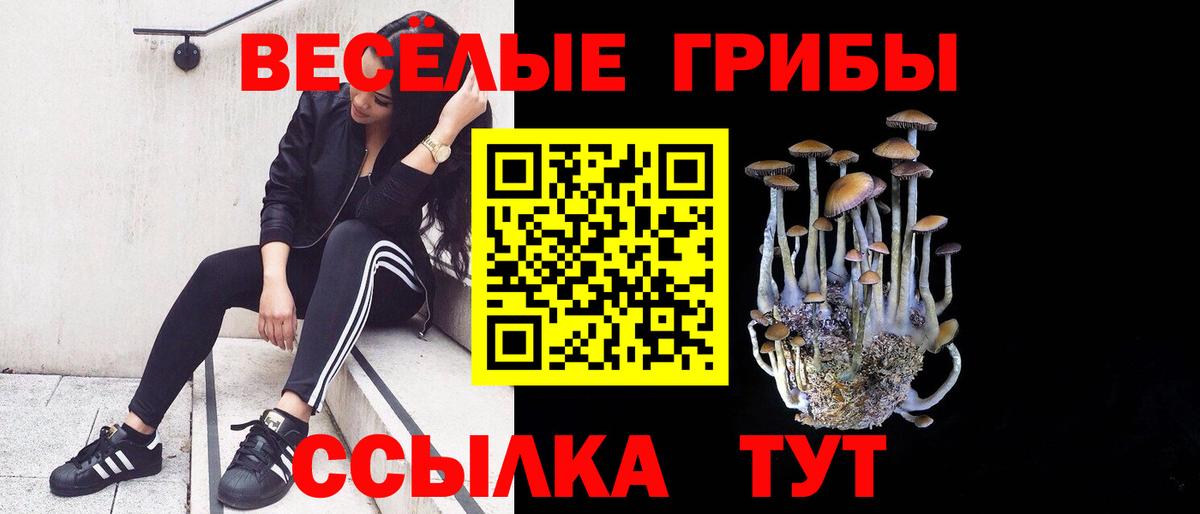 Псилоцибиновые грибы Cubensis Белорецк