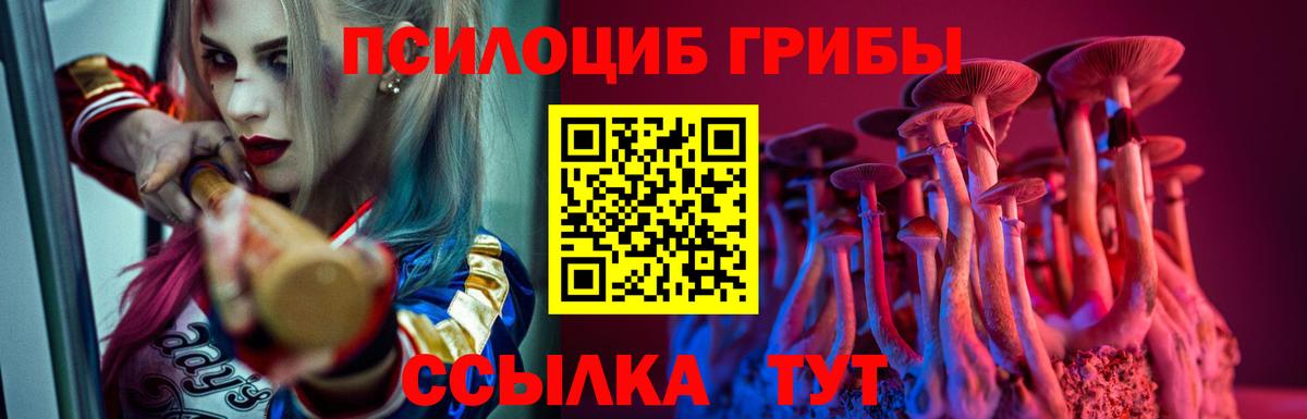 Белорецк  Галлюциногенные грибы Cubensis  Вход с VPN 
